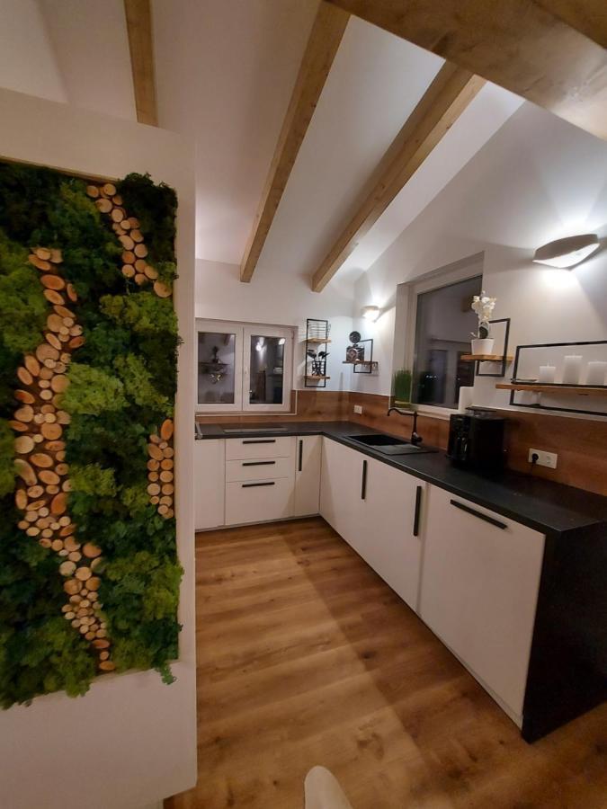 Appartement Auszeit Steiraland Penthouse 9 Mit Grossen Balkon Und Parkplatz à Leoben  Extérieur photo